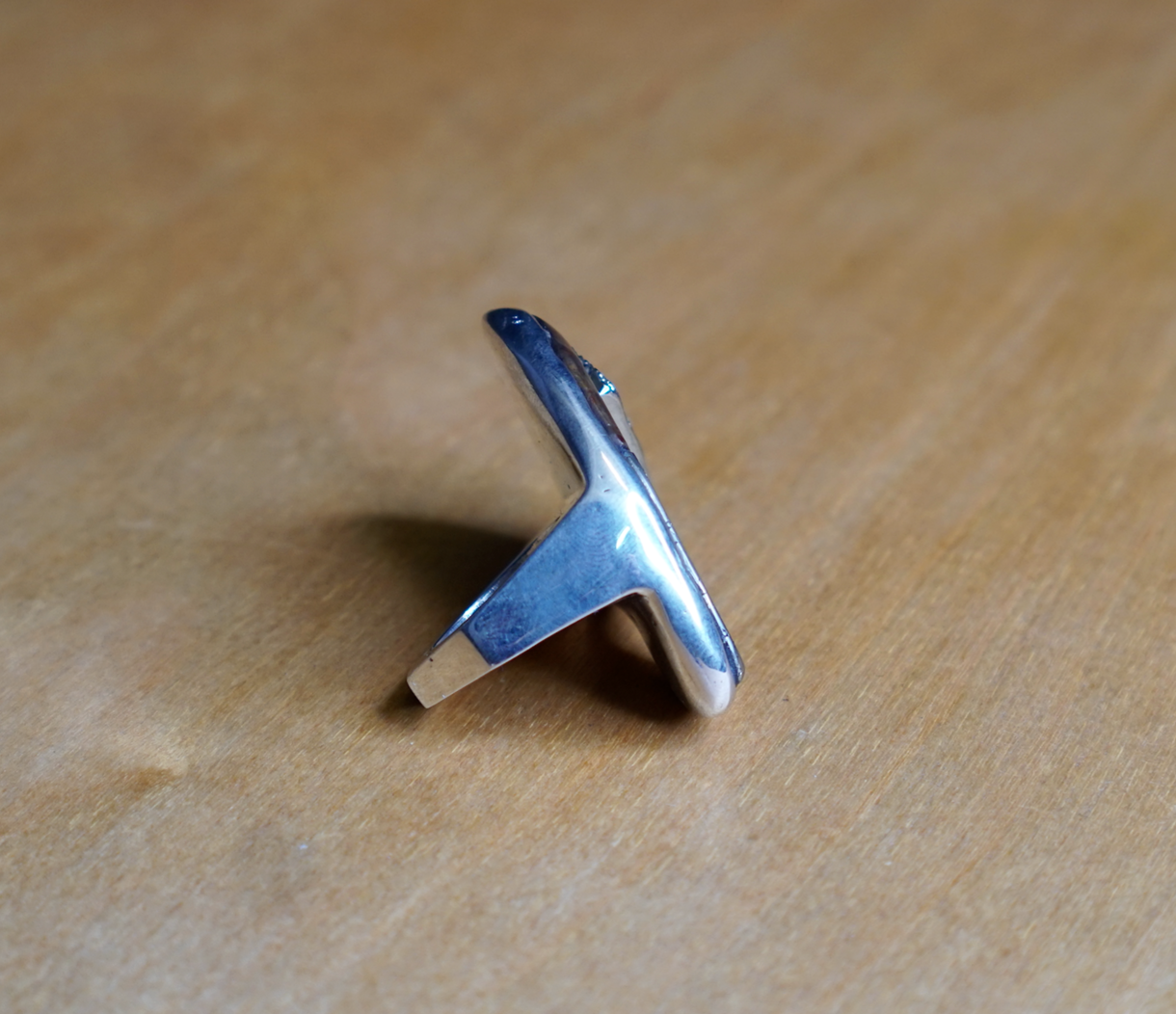 PYRITE & PREHISTORIC WOOD RING