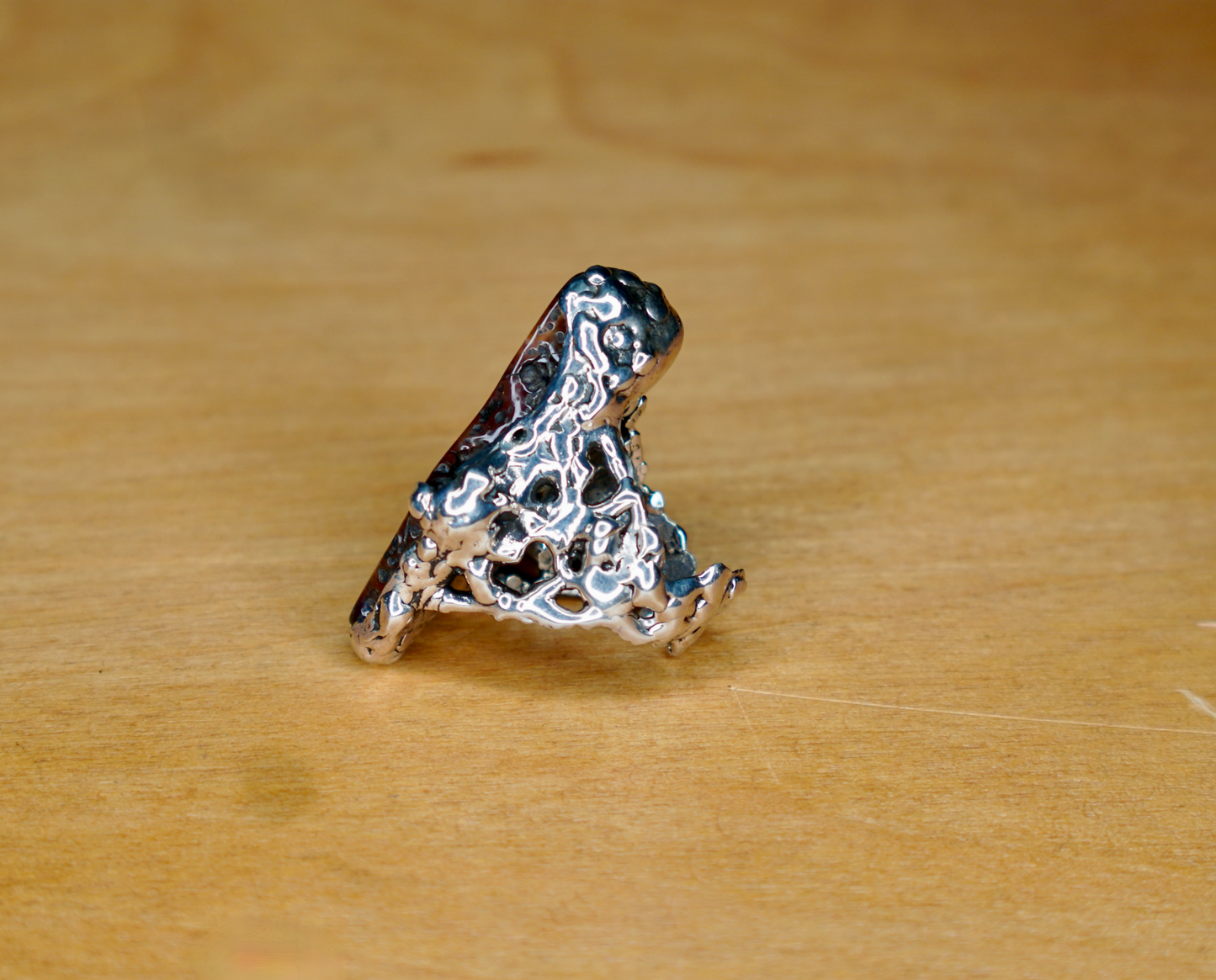 PETRIFIED WOOD RING