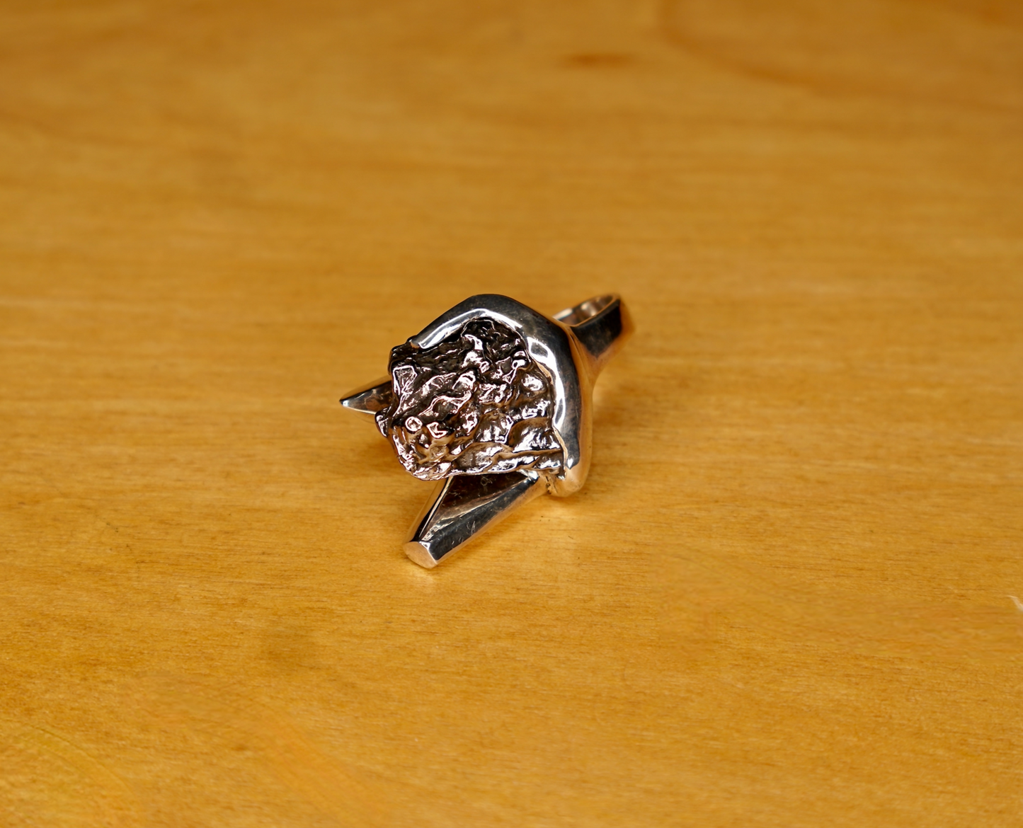 METEORITE RING